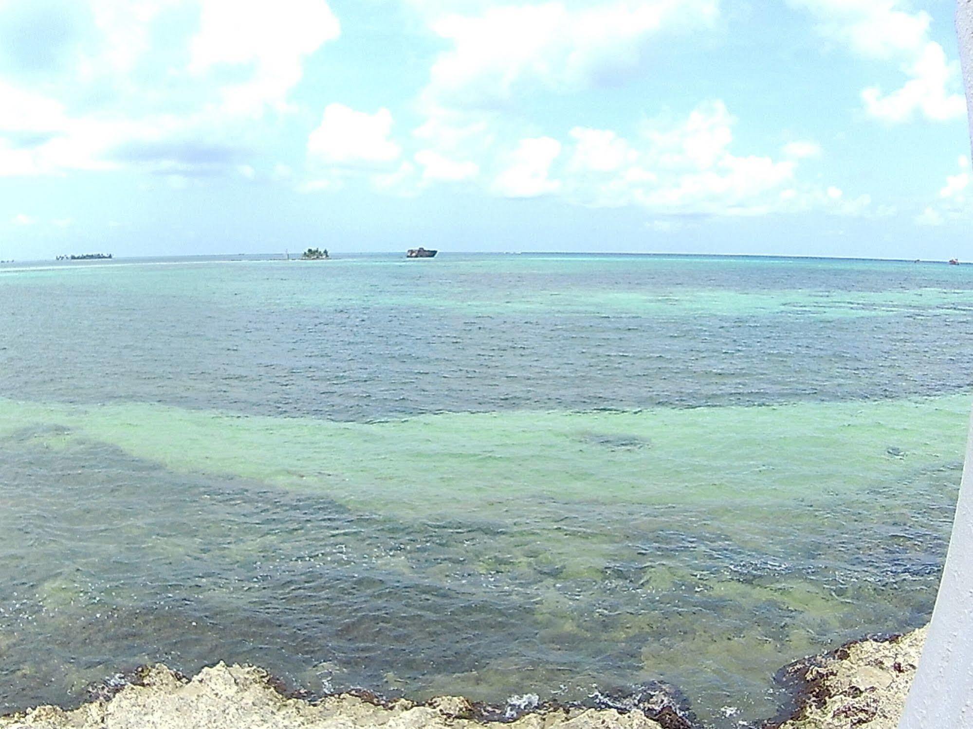 Apartamentos Rocky Cay Bay San Andrés Exteriör bild